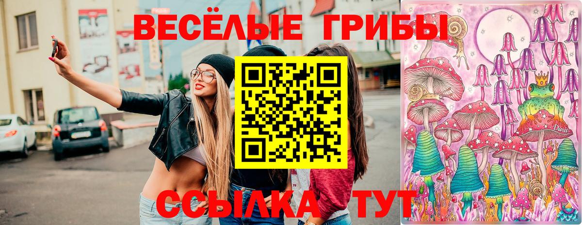 Галлюциногенные грибы мухоморы Карачаевск