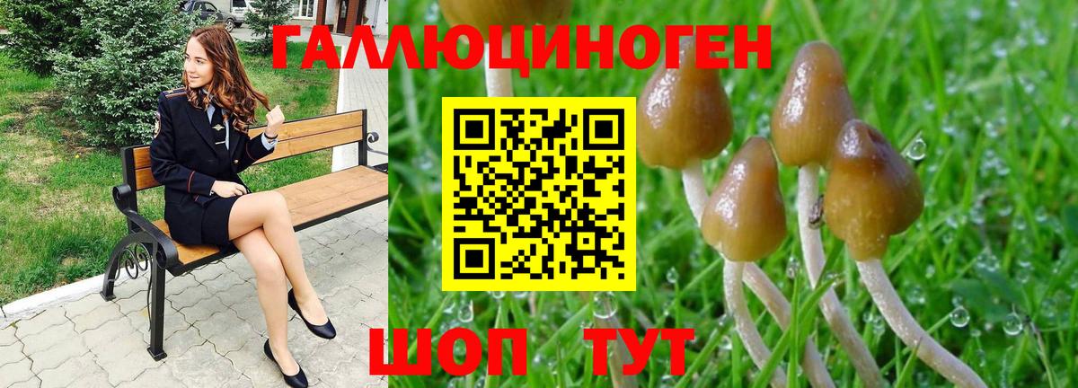 Карачаевск  Галлюциногенные грибы Magic Shrooms  как найти наркотики  Вход с VPN  Галлюциногенные грибы ЛСД 